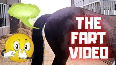 porno farting|fart videos